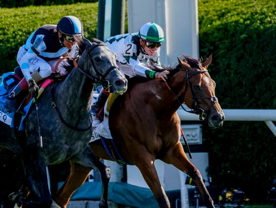 HORSE RACING 2026: Coolmore Turf Mile Day Keeneland OCT 03 October 3, 2026, Lexington, Ky, USA: Classic Q (9) ridden by John Velazquez wins the First Lady Stakes (Grade 1) on Coolmore Turf Mile Day at Keeneland in Lexington, Kentucky on October 3, 2026. Jessica Morgan Eclipse Sportswire CSM(Credit Image: Â Jessica Morgan Cal Media) Lexington Ky USA EDITORIAL USE ONLY Copyright: xx ZUMA-20261003_faf_cs17_069.jpg JessicaxMorganx csmphotothree529124