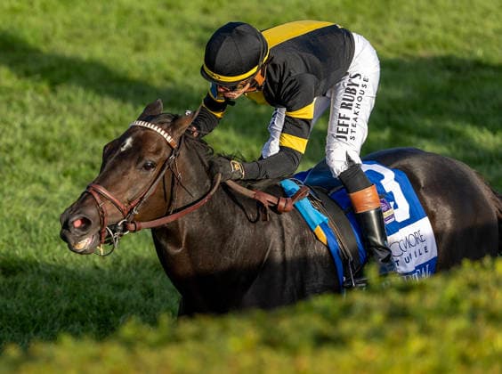 HORSE RACING 2026: Coolmore Turf Mile WAYI Keeneland OCT 03 October 3, 2026, Lexington, Ky, USA: Rhetorical (3) ridden by Irad Ortiz Jr. wins the Coolmore Turf Mile on October 3, 2026. Candice Chavez Eclipse Sportswire CSM(Credit Image: Â {Serial Cal Media) Lexington Ky USA EDITORIAL USE ONLY Copyright: xx ZUMA-20261003_faf_cs17_141.jpg {Serialx csmphotothree529192