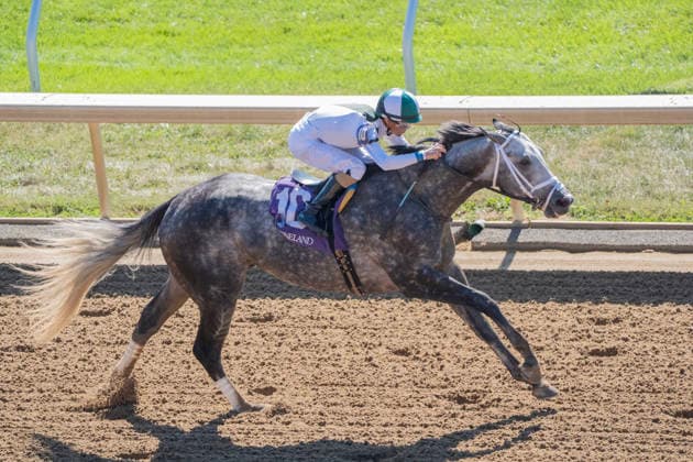 October 3, 2026, Lexington, Kentucky, USA: Who Dey (10) ridden by Brian Hernandez Jr. wins an allowance on Coolmore Turf Mile Day on October 3, 2026. Jessica Morgan Eclipse Sportswire CSM HORSE RACING 2026: Coolmore Turf Mile Day Keeneland OCT 03 - ZUMAcs17 20261003_faf_cs17_186 Copyright: x01354200x