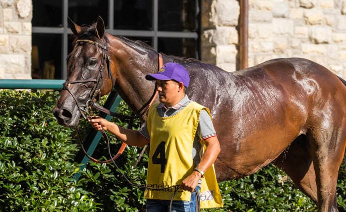 HORSE RACING 2026: Thoroughbred Club Of America WAYI Keeneland OCT 03 October 3, 2026, USA: Evanescence (4) ridden by Jose Ortiz wins the Thoroughbred Club of America on October 3, 2026. Candice Chavez Eclipse Sportswire CSM(Credit Image: Â {Serial Cal Media) USA EDITORIAL USE ONLY Copyright: xx ZUMA-20261003_faf_cs17_192.jpg {Serialx csmphotothree529252