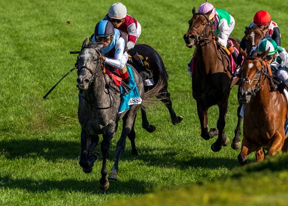 HORSE RACING 2026: Coolmore Turf Mile Day Keeneland OCT 03 October 3, 2026, USA: Classic Q (9) ridden by John Velazquez wins the First Lady on Coolmore Turf Mile Day on October 3, 2026. Candice Chavez Eclipse Sportswire CSM(Credit Image: Â {Serial Cal Media) USA EDITORIAL USE ONLY Copyright: xx ZUMA-20261003_faf_cs17_254.jpg {Serialx csmphotothree529676
