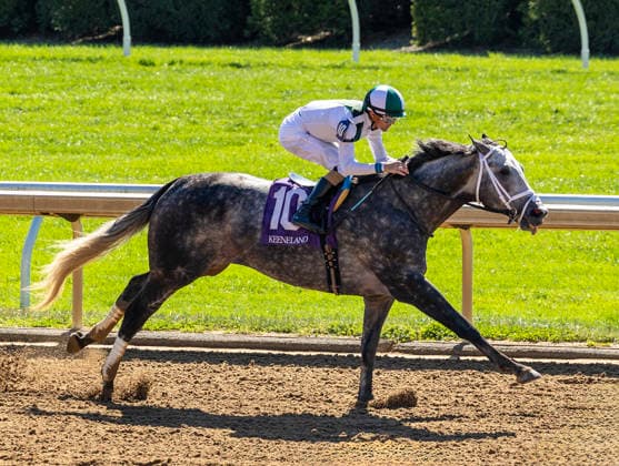 HORSE RACING 2026: Coolmore Turf Mile Day Keeneland OCT 03 October 3, 2026, USA: Who Dey (10) ridden by Brian Hernandez Jr. wins an Allowance on Coolmore Turf Mile Day on October 3, 2026. Candice Chavez Eclipse Sportswire CSM(Credit Image: Â {Serial Cal Media) USA EDITORIAL USE ONLY Copyright: xx ZUMA-20261003_faf_cs17_257.jpg {Serialx csmphotothree529772
