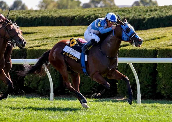 October 3, 2026, Lexington, Ky, USA: Joe Shiesty (6) ridden by Fernando De La Cruz wins the Woodford Stakes presented by Fanduel (Grade 2) at Keeneland in Lexington, Kentucky on October 3, 2026. Eclipse Sportswire CSM HORSE RACING 2026: Coolmore Turf Mile Day Keeneland OCT 03 - ZUMAcs17 20261003_faf_cs17_261 Copyright: xTimxSudduthx