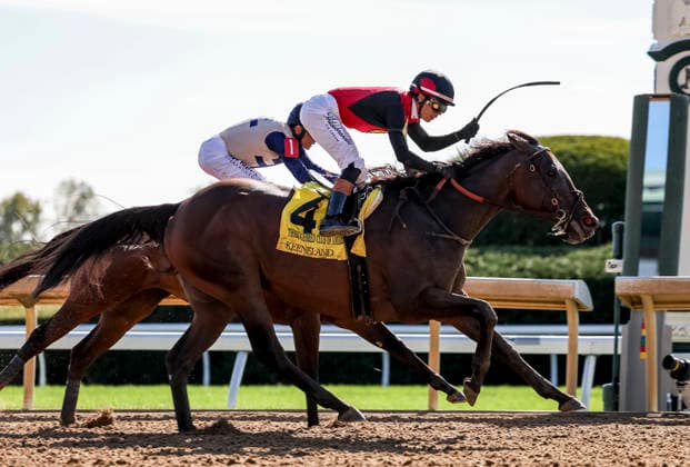 HORSE RACING 2026: Thoroughbred Club Of America WAYI Keeneland OCT 03 October 3, 2026, Lexington, Ky, USA: Evanescence (4) ridden by Jose Ortiz wins the Thoroughbred Club of America Stakes (Grade 2) at Keeneland in Lexington, Kentucky on October 3, 2026. Tim Sudduth Eclipse Sportswire CSM(Credit Image: Â Tim Sudduth Cal Media) Lexington Ky USA EDITORIAL USE ONLY Copyright: xx ZUMA-20261003_faf_cs17_306.jpg TimxSudduthx csmphotothree530259