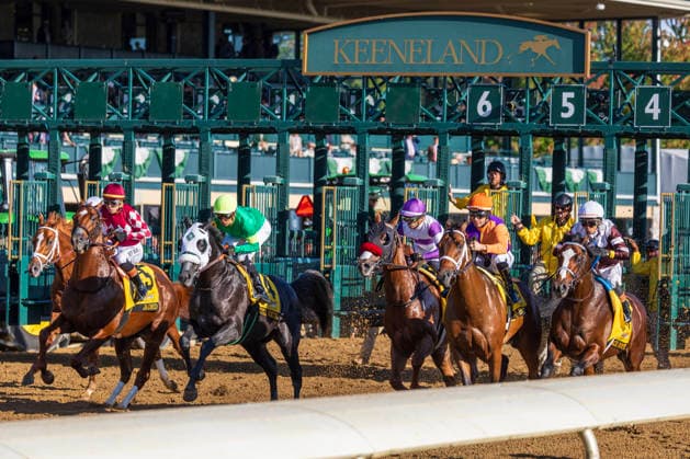 October 3, 2026, Lexington, Kentucky, USA: American History (6) ridden by John Velazquez wins the Claiborne Breeders Futurity Stakes (Grade 1) at Keeneland Race Course on October 3, 2026. Casey Laughter Eclipse Sportswire CSM HORSE RACING 2026: Breeders Futurity WAYI Keeneland OCT 03 - ZUMAcs17 20261003_faf_cs17_332 Copyright: x582034000171x