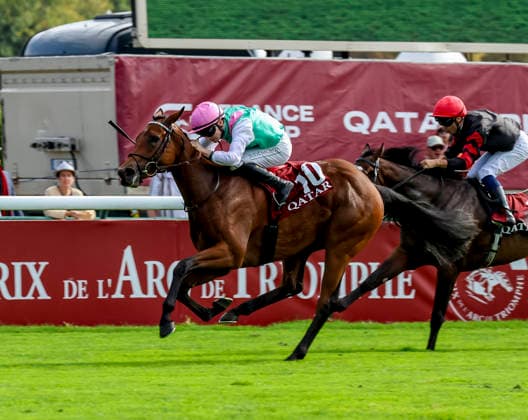 October 4, 2026, Paris, USA: Amusingly (GB) (10) ridden by Colin Keane wins the Qatar Prix Jean-luc Lagardere (Group 1) during Qatar Prix de lÃ¢â‚¬â ¢arc de Triomphe day at Longchamp Racecourse in Paris, France on October 4, 2026. Eclipse Sportswire CSM Paris USA - ZUMAcs17 20261004_faf_cs17_045 Copyright: xSandraxScherningx