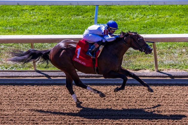 HORSE RACING 2026: Coolmore Turf Mile Day Keeneland OCT 03 October 3, 2026, Lexington, Kentucky, USA: Chancery (1) ridden by Axel Concepcion wins an allowance race at Keeneland Race Course on October 3, 2026. Casey Laughter Eclipse Sportswire CSM(Credit Image: Â Casey Laughter Cal Media) Lexington Kentucky USA EDITORIAL USE ONLY Copyright: xx ZUMA-20261003_faf_cs17_331.jpg CaseyxLaughterx csmphotothree530700
