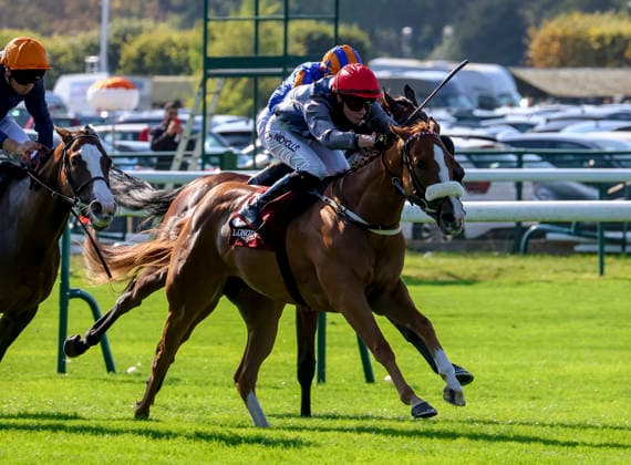 October 4, 2026, Paris, USA: Miss Yechance (9) ridden by Jack Nicholls wins the Prix De LÃ¢â‚¬â ¢abbaye Longchamp Longines (Group 1) during Qatar Prix de lÃ¢â‚¬â ¢arc de Triomphe day at Longchamp Racecourse in Paris, France on October 4, 2026. Eclipse Sportswire CSM Paris USA - ZUMAcs17 20261004_faf_cs17_053 Copyright: xSandraxScherningx