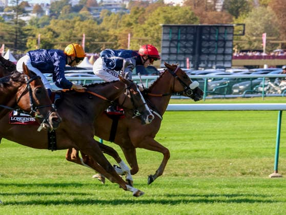 HORSE RACING 2026: Qatar Prix De Lâ€⠢Arc De Triomphe Day Longchamp OCT 04 October 4, 2026, Paris, USA: Miss Yechance (9) ridden by Jack Nicholls wins the Prix De Lâ€⠢abbaye Longchamp Longines (Group 1) during Qatar Prix de lâ€⠢arc de Triomphe day at Longchamp Racecourse in Paris, France on October 4, 2026. Sandra Scherning Eclipse Sportswire CSM(Credit Image:  Sandra Scherning Cal Media) Paris USA EDITORIAL USE ONLY Copyright: xx ZUMA-20261004_faf_cs17_059.jpg SandraxScherningx csmphotothree530728