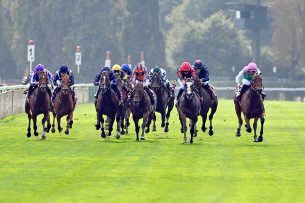 October 4, 2026, Longchamp, Paris, FRA Amusingly, with Colin Keane aboard, wins the Prix Jean Luc Lagadere at the ParisLongchamp racetrack Horse, Jockey, Amusingly, Keane, Victory, Finish, Finish Line 261004C970LONGCHAMP JPG