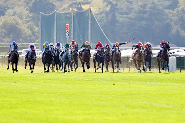 October 4, 2026, Longchamp, Paris, FRA: Miss Yechance, third from the right with Jack Nicholls aboard, wins the Prix de l Abbaye at the ParisLongchamp racetrack. Horse, Jockey, Miss Yechance, Nicholls, Victory, Finish, Finish Line 261004C972LONGCHAMP JPG