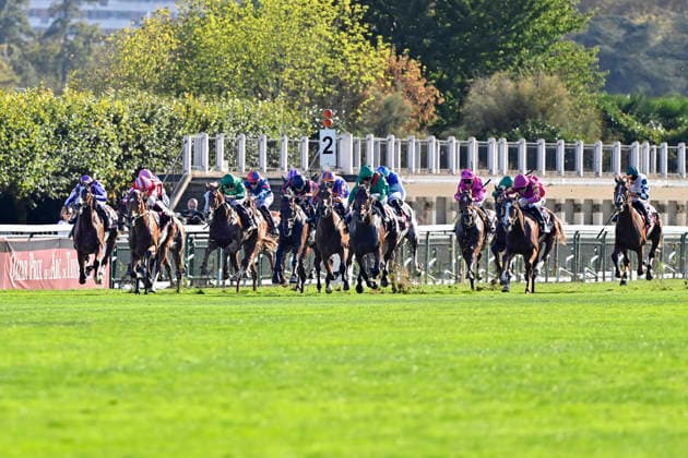 October 4, 2026, Longchamp, Paris, FRA Daryz, fourth from the right with Mickael Barzalona in the saddle, wins the Qatar Prix de l Arc de Triomphe at the ParisLongchamp racecourse Horse, Jockey, Daryz, Barzalona, Victory, Finish, Finish Line 261004C977LONGCHAMP JPG