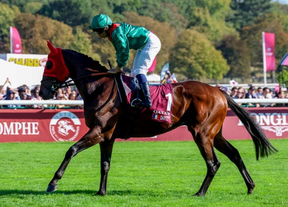 HORSE RACING 2026: Qatar Prix De LÃ¢â‚¬â ¢Arc De Triomphe Day Longchamp OCT 04 October 4, 2026, Paris, USA: Daryz (1) ridden by Mickael Barzalona wins the Qatar Prix de lÃ¢â‚¬â ¢arc de Triomphe (Group 1) at Longchamp Racecourse in Paris, France on October 4, 2026. Sandra Scherning Eclipse Sportswire CSM(Credit Image: Â Sandra Scherning Cal Media) Paris USA EDITORIAL USE ONLY Copyright: xx ZUMA-20261004_faf_cs17_071.jpg SandraxScherningx csmphotothree530732
