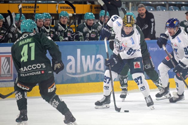 Matt White, EC Kassel Huskies, 97 on the puck: Bietigheim Steelers vs. EC Kassel Huskies, Ice Hockey, DEL 2, Game 6 of the regular season, 2026–2027 season, October 4, 2026, Bietigheim Steelers vs. EC Kassel Huskies, Ice Hockey, DEL 2, 6th Regular Season Game, 2026–2027 Season, October 4, 2026, Bietigheim Copyright: xEibner-Pressefotox EP_TBR