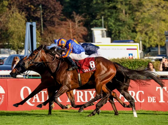 October 4, 2026, Paris, USA: True Love (8) ridden by Ryan Moore wins the Qatar Prix De La Foret (Group 1) during Qatar Prix de lâ€⠢Arc de Triomphe Day at Longchamp Racecourse in Paris, France on October 4, 2026. Eclipse Sportswire CSM Paris USA - ZUMAcs17 20261004_faf_cs17_134 Copyright: xSandraxScherningx