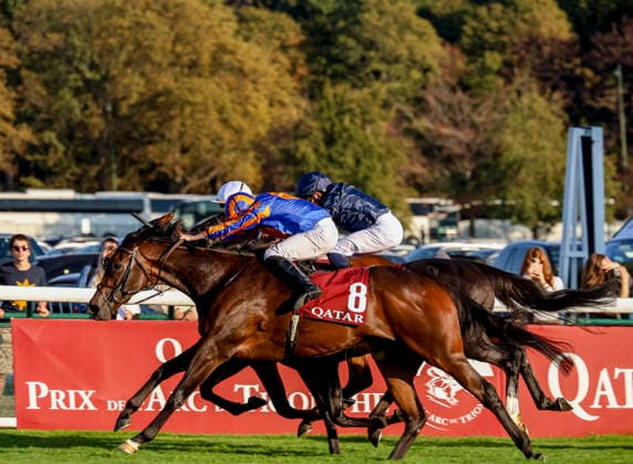 October 4, 2026, Paris, USA: True Love (8) ridden by Ryan Moore wins the Qatar Prix De La Foret (Group 1) during Qatar Prix de lâ€⠢Arc de Triomphe Day at Longchamp Racecourse in Paris, France on October 4, 2026. Eclipse Sportswire CSM Paris USA - ZUMAcs17 20261004_faf_cs17_135 Copyright: xSandraxScherningx