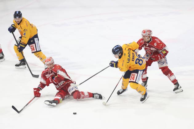 Sahnpark Crimmitschau October 4, 2026 2026–27 Season Ice Hockey 2nd Bundesliga Regular Season Game 6 Saxony Ice Arena Saxony Derby Eispiraten Eispiraten Lausitzer Füchse Nikita Knaus Füchse (yellow) Nikolas Biggins EPC in red behind him Emil Quaas 20 EPC in yellow, almost lying on the ice Brett Humberstone Füchse 4 on the left Crimmitschau Saxony Germany