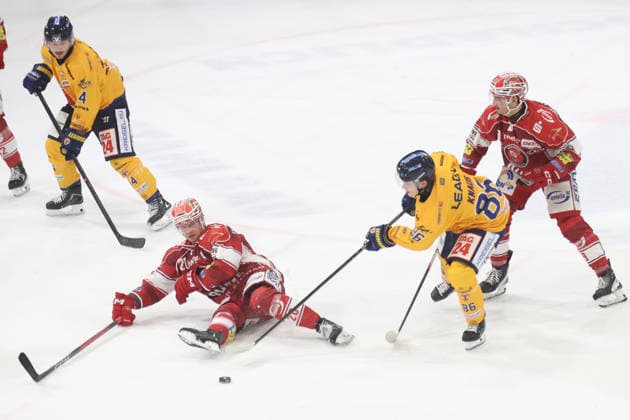 Sahnpark Crimmitschau October 4, 2026 2026–27 Season Ice Hockey 2nd Bundesliga Regular Season Game 6 Saxony Ice Arena Saxony Derby Eispiraten Eispiraten Lausitzer Füchse Nikita Knaus Füchse (yellow) Nikolas Biggins EPC in red behind him Emil Quaas 20 EPC in yellow, almost lying on the ice Brett Humberstone Füchse 4 on the left Crimmitschau Saxony Germany