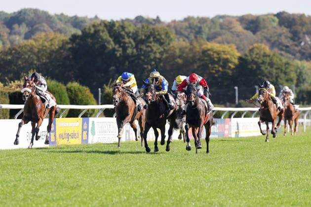 October 4, 2026, Düsseldorf, North Rhine-Westphalia, GER Siel with Andrea Ricupa, wearing a red cap, wins at the Düsseldorf Grafenberg Racetrack; horse, jockey, Siel, Ricupa, victory, finish line, finish 261004SG785DUESSELDORF JPG