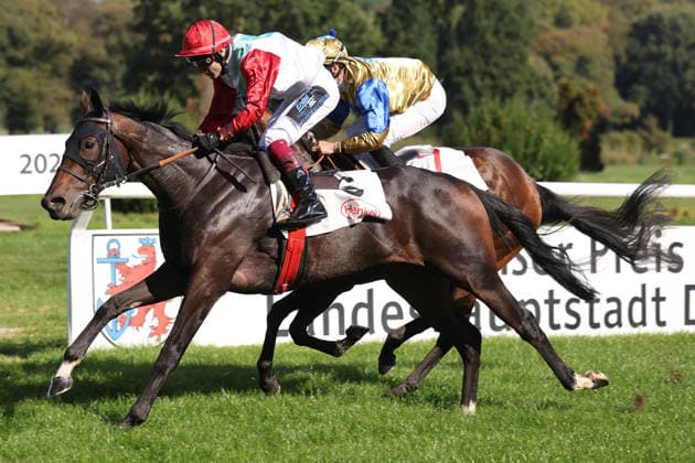 October 4, 2026, Düsseldorf, North Rhine-Westphalia, GER Siel and Andrea Ricupa win at the Düsseldorf Grafenberg Racetrack Horse, jockey, Siel, Ricupa, victory, finish line, finish 261004SG787DUESSELDORF JPG
