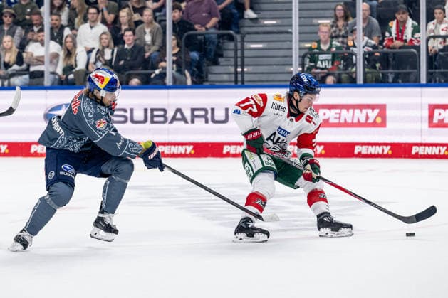 Battle for the Puck: Face-off between Markus Eisenschmid of EHC Red Bull Munich (No. 11) and Luke Toporowski of the Augsburger Panther (No. 77, GER), EHC Red Bull Munich vs. Augsburger Panther, DEL, 2026–2027 Season, Matchday 6, October 4, 2026 Photo: HMB Media, Heike Feiner Copyright: HMBxMedia HeikexFeiner