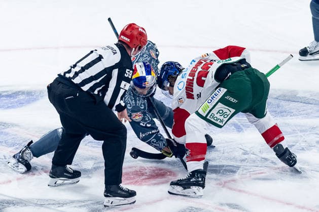 Linesman Jonas Reinold officiates a faceoff between Lucas Thaler of EHC Red Bull Munich, 48, and Tim Wohlgemuth of the Augsburger Panther, 33 (GER), EHC Red Bull Munich vs. Augsburger Panther, DEL, 2026–2027 season, Matchday 6, October 4, 2026. Photo: HMB Media, Franz Feiner Copyright: HMBxMedia FranzxFeiner