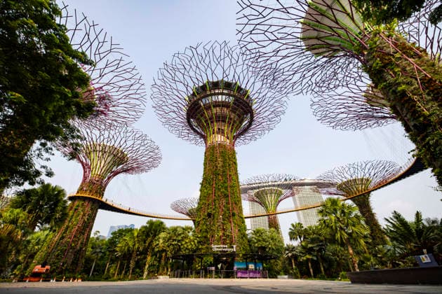 F1 - SINGAPORE GRAND PRIX 2026 Gardens by the Bay, ambiance during the 2026 Formula 1 Singapore Grand Prix, 17th round of the 2026 Formula One World Championship, WM, Weltmeisterschaft from October 9 to 11, 2026 on the Marina Bay Street Circuit, in Singapore, Singapore - SingaporeSingapore  Copyright: xJulienxDelfossex