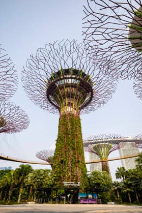 F1 - SINGAPORE GRAND PRIX 2026 Gardens by the Bay, ambiance during the 2026 Formula 1 Singapore Grand Prix, 17th round of the 2026 Formula One World Championship, WM, Weltmeisterschaft from October 9 to 11, 2026 on the Marina Bay Street Circuit, in Singapore, Singapore - SingaporeSingapore  Copyright: xJulienxDelfossex
