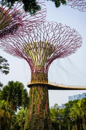 F1 - SINGAPORE GRAND PRIX 2026 Gardens by the Bay, ambiance during the 2026 Formula 1 Singapore Grand Prix, 17th round of the 2026 Formula One World Championship, WM, Weltmeisterschaft from October 9 to 11, 2026 on the Marina Bay Street Circuit, in Singapore, Singapore - SingaporeSingapore  Copyright: xJulienxDelfossex