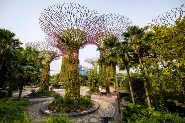 F1 - SINGAPORE GRAND PRIX 2026 Gardens by the Bay, ambiance during the 2026 Formula 1 Singapore Grand Prix, 17th round of the 2026 Formula One World Championship, WM, Weltmeisterschaft from October 9 to 11, 2026 on the Marina Bay Street Circuit, in Singapore, Singapore - SingaporeSingapore  Copyright: xJulienxDelfossex