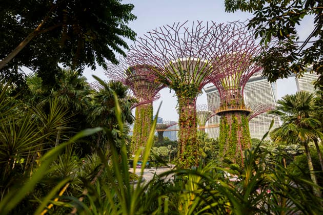 F1 - SINGAPORE GRAND PRIX 2026 Gardens by the Bay, ambiance during the 2026 Formula 1 Singapore Grand Prix, 17th round of the 2026 Formula One World Championship, WM, Weltmeisterschaft from October 9 to 11, 2026 on the Marina Bay Street Circuit, in Singapore, Singapore - SingaporeSingapore  Copyright: xJulienxDelfossex