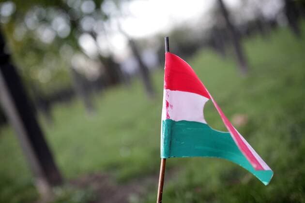 Mermorial event the 1956 uprising against Soviet occupation at New Public Cemetery in Budapest, Hungary on November 4, 2014. . The uprising began after a student demonstration on October 23, 1956 and had been bloody crushed by Soviet Army on November 4. Image shows tricolor flag. CSABAxDOMOTOR 