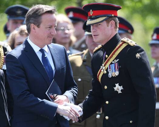 . 11 06 2015. National Memorial, Arboretum, United Kingdom. Prince Harry and Prime Minister David Cameron at the dedication of the Bastion Memorial at the National Memorial Arboretum, Staffordshire,United KIngdom .  xStephenxLockx xi-Imagesx IIM-10506-0038