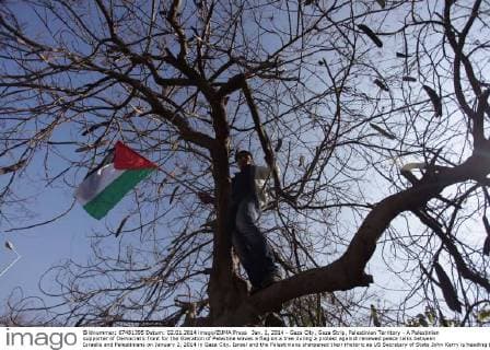 Jan. 2, 2014 - Gaza City, Gaza Strip, Palestinian Territory - A Palestinian supporter of Democratic front for the liberation of Palestine waves a flag on a tree during a protest against renewed peace talks between Israelis and Palestinians on January 2, 2014 in Gaza City. Israel and the Palestinians sharpened their rhetoric as US Secretary of State John Kerry is heading to the region hoping to nudge the two sides towards a peace framework  - ZUMAews