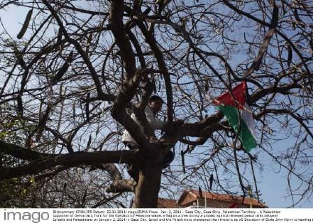 Jan. 2, 2014 - Gaza City, Gaza Strip, Palestinian Territory - A Palestinian supporter of Democratic front for the liberation of Palestine waves a flag on a tree during a protest against renewed peace talks between Israelis and Palestinians on January 2, 2014 in Gaza City. Israel and the Palestinians sharpened their rhetoric as US Secretary of State John Kerry is heading to the region hoping to nudge the two sides towards a peace framework  - ZUMAews