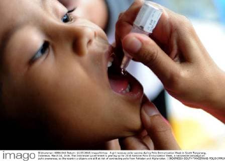 A girl receives polio vaccine during Polio Immunization Week in South Tangerang, Indonesia, March 11, 2016. The Indonesian government is gearing up for 2016 National Polio Immunization Week, a nationwide campaign on polio awareness, as the country s citizens are still at risk of contracting polio from Pakistan and Afghanistan. ) INDONESIA-SOUTH TANGERANG-POLIO IMMUNIZATION AgungxKuncahyaxB. 
