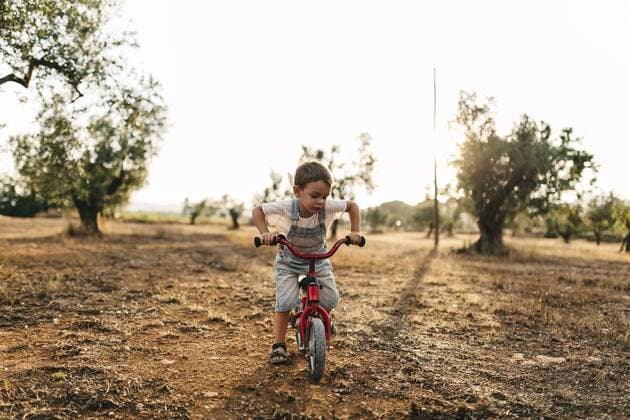 Little boy with children s bike on a field model released Symbolfoto  JRFF000818