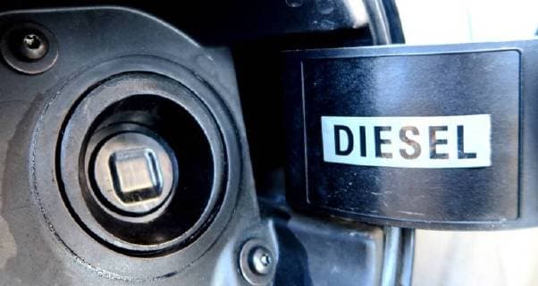 Diesel is standing on a tank lid of a diesel vehicle