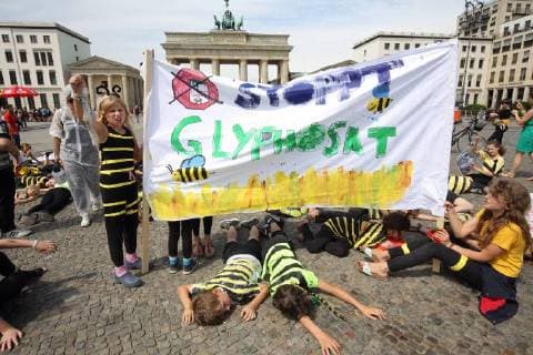 With a performance in front of the Brandenburg Gate, Berlin students protested against the bee dying on Thursday 21 06 18 As bees disguised about 100 first to six-year-olds of the Evangelical School Friedrichshain over the Pariser Platz until they were symbolically splashed with glyphosate and died of it See epd message from 21 06 18 Students demonstrate in Berlin against bee mortality Copyright: epd-bild JuergenxBlume EDITORIAL USE ONLY