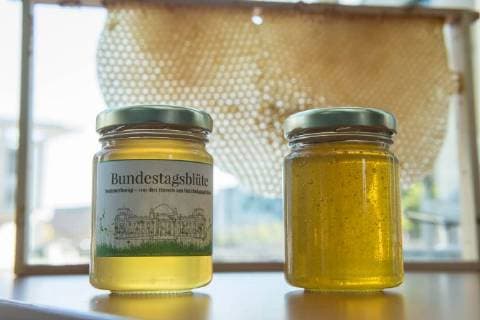 Environment Honey harvest Bundestag bees Honey harvest at the Bundestag bees Oliver Krischer Bees Father of the Parliament and vice chairman of the parliamentary group of the