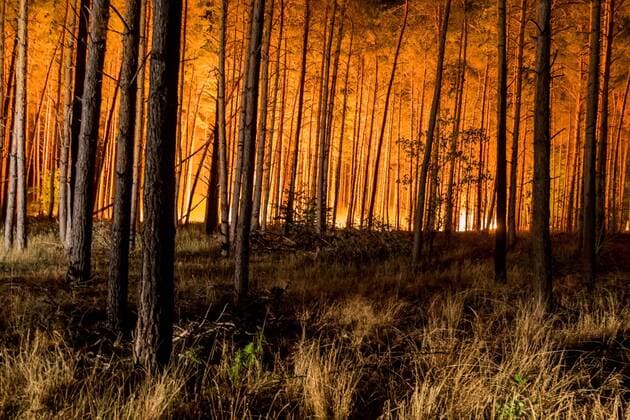 24 08 2018 Brandenburg Germany GER Great fire in a forest in Brandenburg between the villages of Treuenbrietzen and Jüterborg At noon the fire near the village of Treuenbrietzen erupted Until the evening the forest fire spread to an area of u200b u200babout 300 hectares In the picture you can see a piece of clothing the burnt area