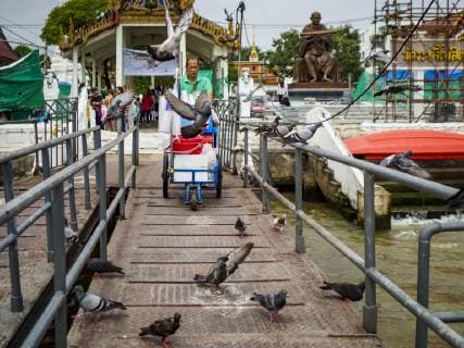 October 2, 2018 - Bangkok, Bangkok, Thailand - A vender pushes his cart past a flock of pigeons at Wat Rakhang in Bangkok. Authorities in the Thai capital have banned the feeding of wild pigeons. They are trying the get the pigeon population under control. They ve imposed a fine of up to 25,000 Baht (about $770US) and or up to three months in jail for feeding pigeons. Government officials have ordered that signs be put up to warn people of the dangers and disease risk of pigeons. Bangkok Thailand - ZUMAe333 20181002_zap_e333_001 Copyright: xSeanxEdisonx