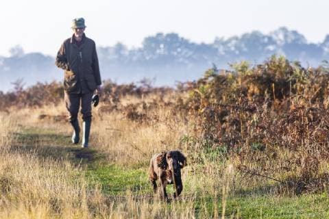 October 10, 2018 - London, London, UK - London, UK. A man walking his dog at sunrise in Bushy Park, south London. Forecasters are expecting unusually warm temperatures for October. London UK - ZUMAl94_ 20181010_zaf_l94_031 Copyright: xRobxPinneyx