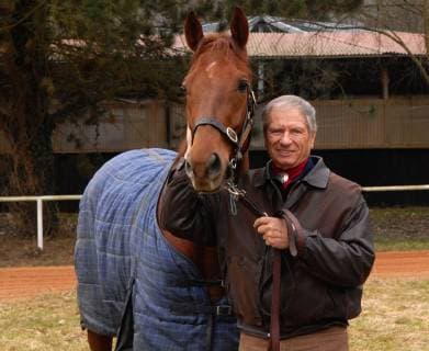 The horse breeder and former rodeo rider Monty Roberts, who deals with dealing with difficult horses, is visiting the private racecourse at the training center Schmeer in Saarbrücken on Tuesday 03 03 2009