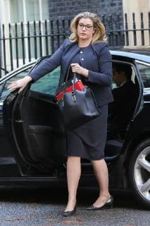 November 13, 2018 - London, United Kingdom - Penny Mordaunt, Secretary of State for International Development and Equalities Minister seen arriving at the Downing Street to attend the weekly Cabinet Meeting. London United Kingdom - ZUMAs197 20181113_zaa_s197_047 Copyright: xDinendraxHariax