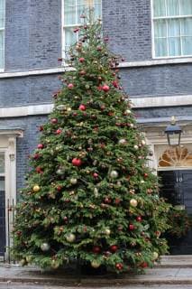 December 4, 2018 - London, United Kingdom - A giant Christmas tree is seen outside No 10 Downing Street. London United Kingdom - ZUMAs197 20181204_zaa_s197_063 Copyright: xDinendraxHariax