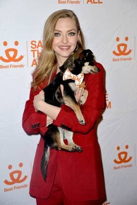 April 2 2019 New York NY USA April 2 2019 New York City Amanda Seyfried attending the Animal Society Best Friends Benefit on April 2 2019 in New York City New York USA  - ZUMAny1_ 20190402_zaf_ny1_111 Copyright: xKristinxCallahanx