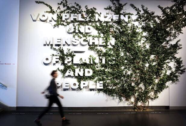 On Friday 19 04 2019, the Deutsche Hygiene Museum Dresden invites you to a tour of the green planet with a photo from 18 04 2019 The new exhibition is dedicated to the ambivalent relationship between man and the world of plants. The museum shared on Thursday with For the first time in the European museum landscape, Copyright: epd-bild MatthiasxSchumann EDITORIAL USE ONLY