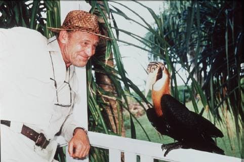 DER PARADIESVOGEL - EINE LIEBE AM ENDE DER WELT Auf Papua-Neuguinea wartet Patrick Stein auf die Ornithologin Andrea Welte. Gemeinsam wollen sie die letzten lebenden Paradiesvögel in freier Natur erforschen. Zudem erhofft er, daß die erloschene Liebe zwischen ihnen beiden in diesem Paradies wieder auflebt. Szene mit MICHAEL MENDL als Patrick Stein mit einem Furchenschnabel-Hornvogel, der auf einem Verandageländer in der Nagada-Station saß. Regie: Peter Deutsch aka. Teil 1 DER PARADIESVOGEL - EINE LIEBE AM ENDE DER WELT Copyright: KPA !AUFNAHMEDATUM GESCHÄTZT! Nur redaktionelle Nutzung im Zusammenhang mit dem Film. Editorial usage only and only related to the movie. Im Falle anderer Verwendungen, kontaktieren Sie uns bitte. For other uses, please contact us. UnitedArchives00885456