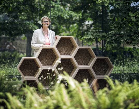 Federal Minister of Education Anja Karliczek, CDU, taken behind a bee hotel, on the occasion of World Bee Day and the opening of a bee hotel in the Ministry of Education in Berlin 20 05 2019 Berlin Germany Copyright: xFelixxZahn photothek.netx